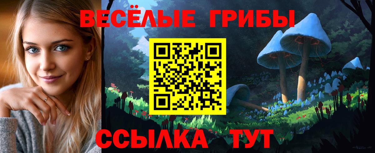 Галлюциногенные грибы мухоморы Геленджик