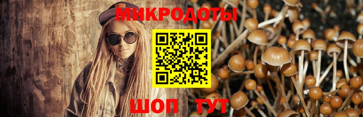 Геленджик  Галлюциногенные грибы ЛСД  как найти наркотики  Вход с VPN 